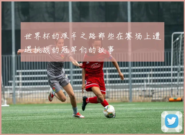 世界杯的艰辛之路那些在赛场上遭遇挑战的冠军们的故事