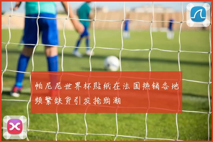 帕尼尼世界杯贴纸在法国热销各地频繁缺货引发抢购潮